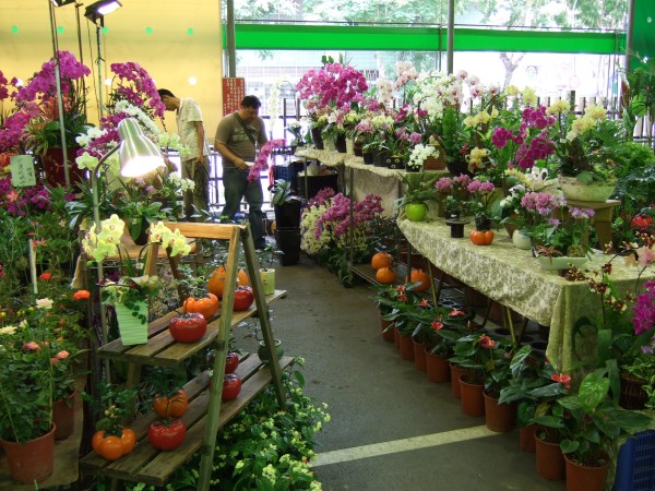 flower market 2